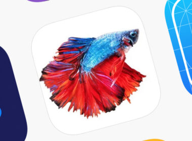 16af3056bff2ba5cadac8f8bee8fcc87